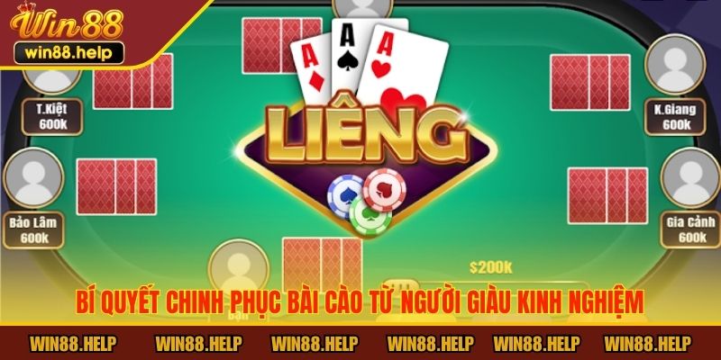 Bí quyết chinh phục bài Cào từ người giàu kinh nghiệm