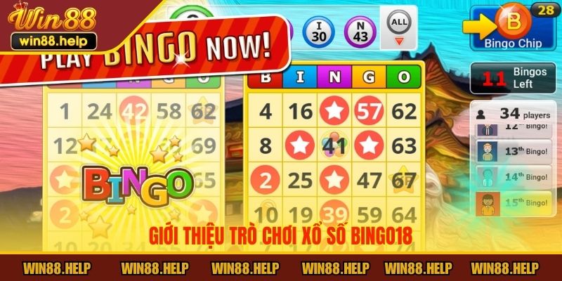 Giới thiệu xổ số Bingo18